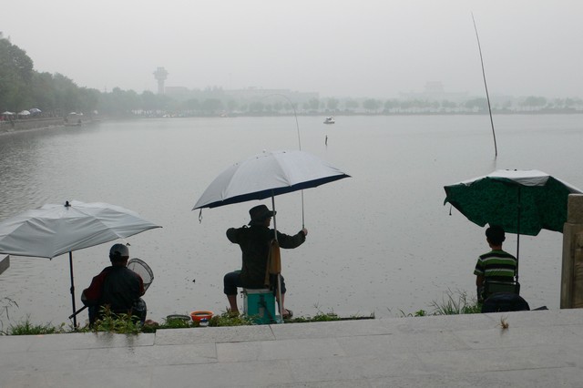 下雨天钓鱼，你还在犹豫吗？小雨、大雨、暴雨，雨天钓鱼的秘诀全在这里，让每一次出钓都能满载而归，成为朋友圈里的钓鱼达人！