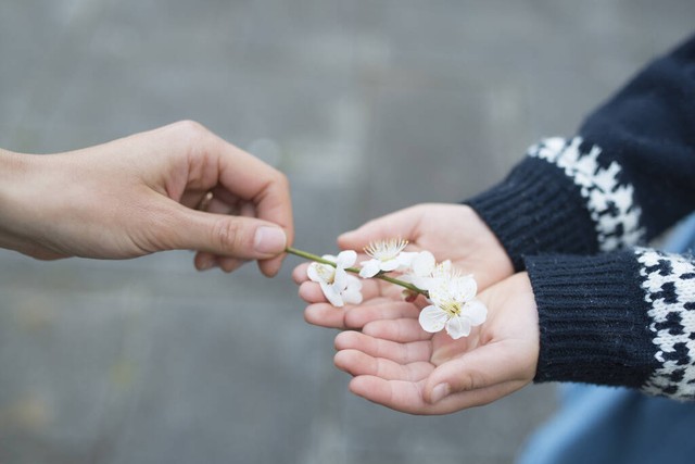 《那些平淡却戳心的虐文，你读过几本？》